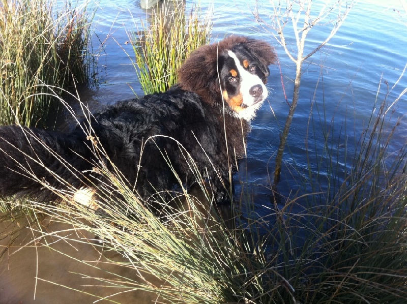 Izzy Du Domaine D'Athos