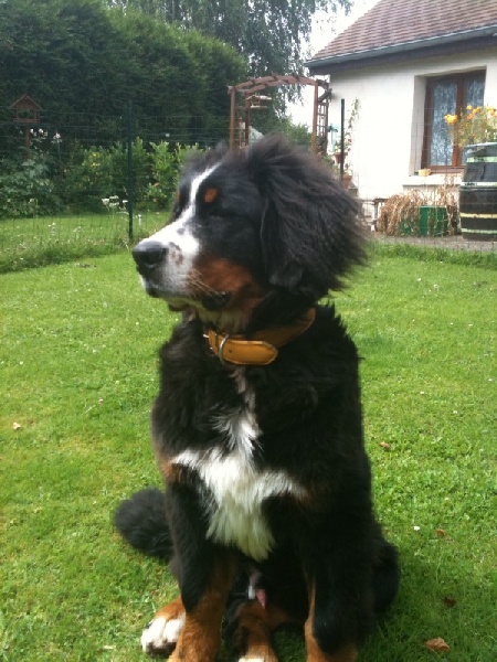 Happy Du Domaine D'Athos