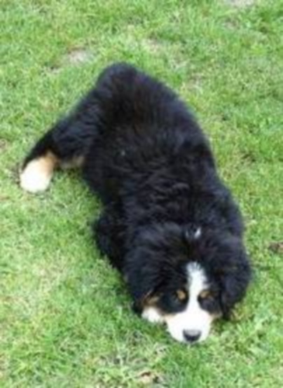 Hermès Du Domaine D'Athos