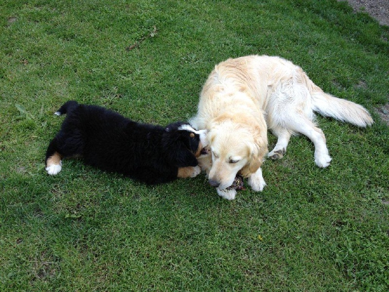 Hermès Du Domaine D'Athos