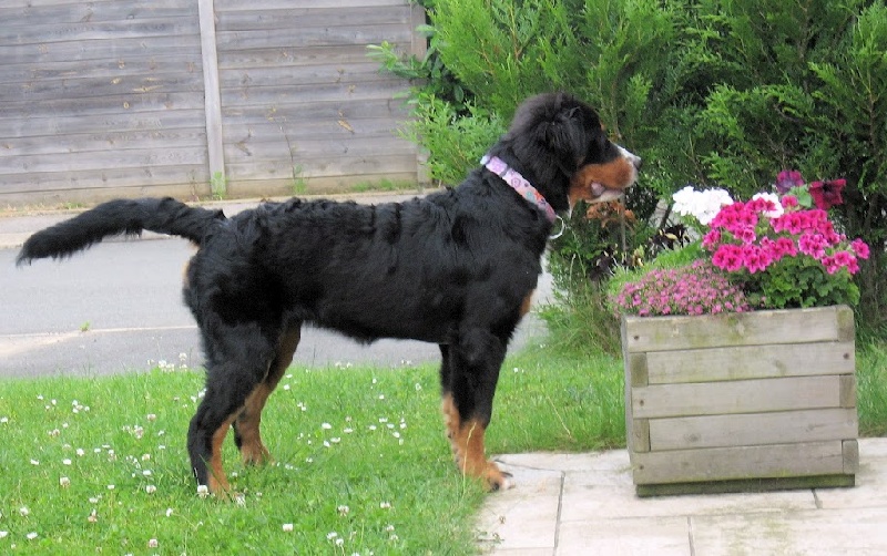 Hyoko Du Domaine D'Athos