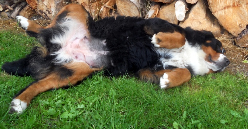 Publication : Du Domaine D'Athos Auteur : hery maeva