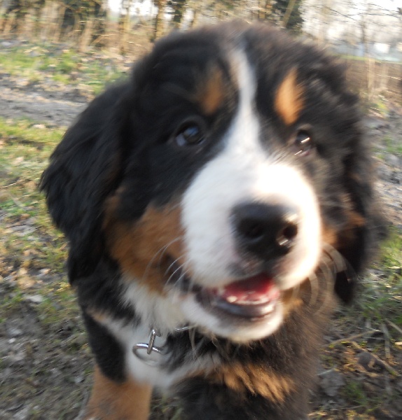 Fridhilde Du Domaine D'Athos