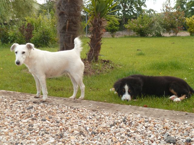 Heidy Du Domaine D'Athos