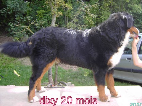 Publication : Du Domaine D'Athos Auteur : hery maeva