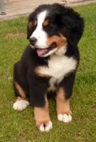 Heidy Du Domaine D'Athos