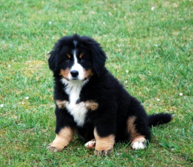 HawaÏ Du Domaine D'Athos