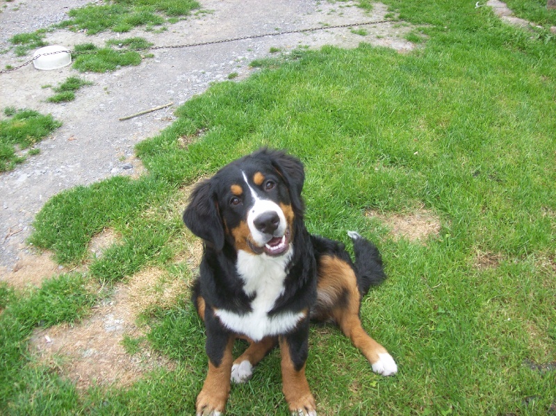 Publication : Du Domaine D'Athos Auteur : hery maeva