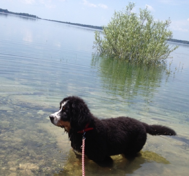 Happy Du Domaine D'Athos