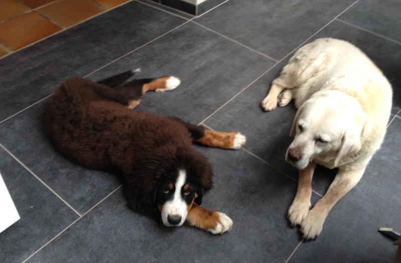 Hermès Du Domaine D'Athos