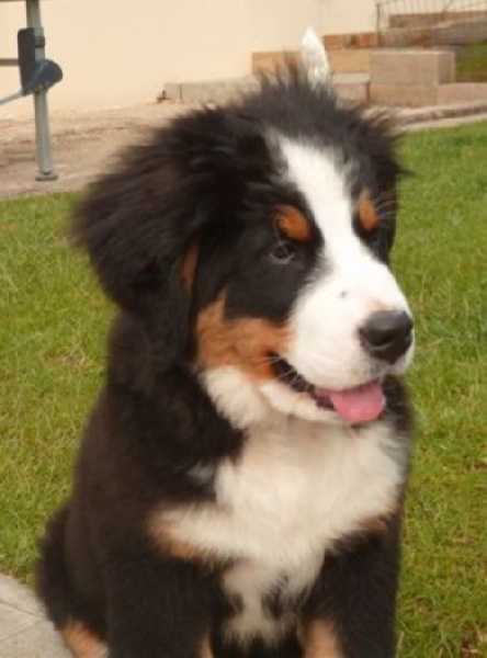 Heidy Du Domaine D'Athos