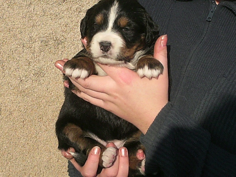 Publication : Du Domaine D'Athos Auteur : hery maeva