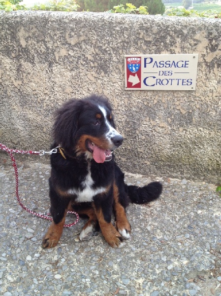 Happy Du Domaine D'Athos