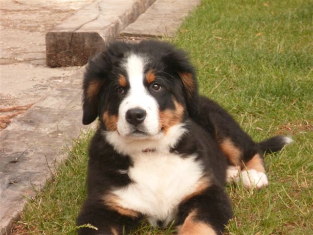 Heidy Du Domaine D'Athos