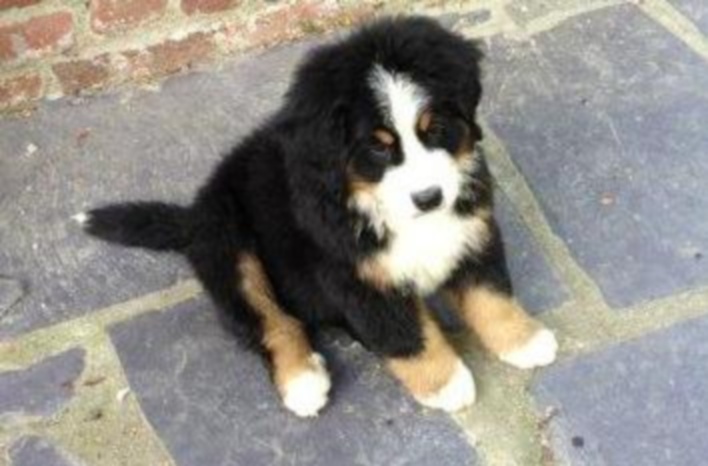 Hermès Du Domaine D'Athos