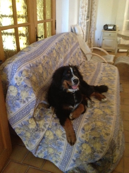 Happy Du Domaine D'Athos