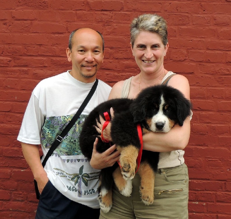 JET LOVE dit Bambou (collier noir )