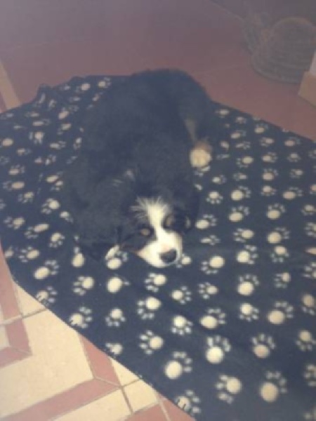 Hermés collier bleu ciel