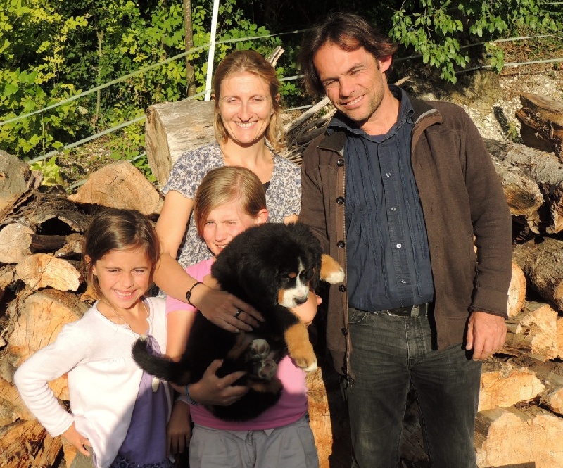 Hermesse collier vert