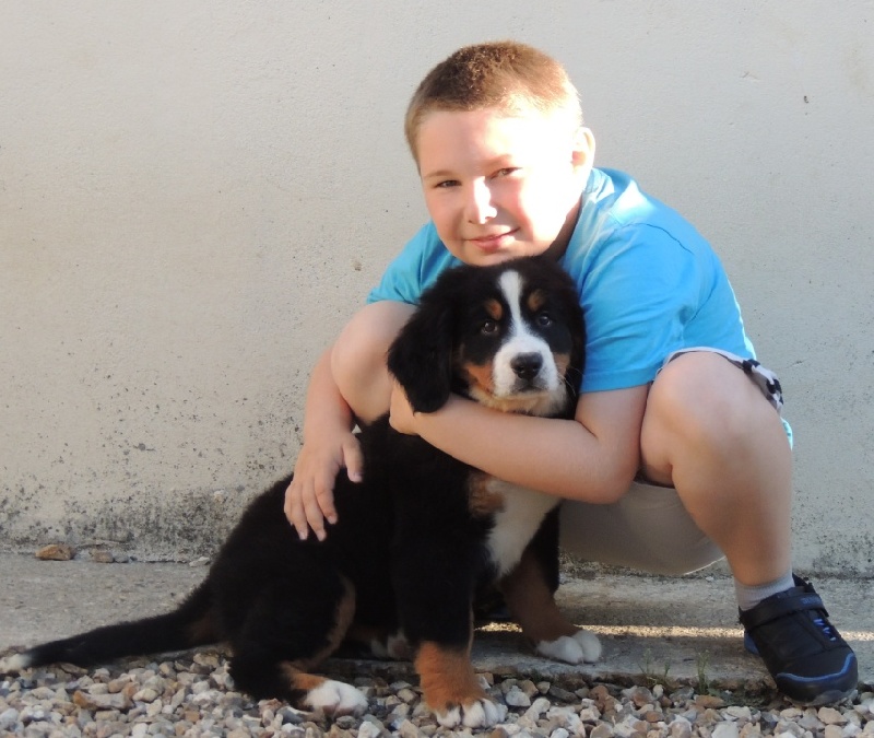 HALYSKA collier bleu