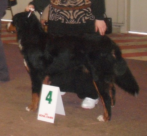 Dixy du domaine du roi richard - 4eme trés bon