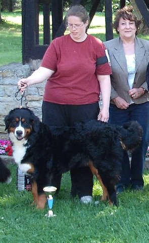 Dixy du domaine du roi richard - 2eme exellent