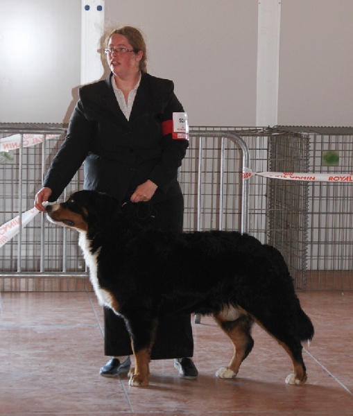 Dixy du domaine du roi richard - très bon