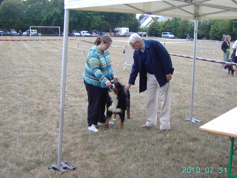 Dixy du domaine du roi richard - exellent