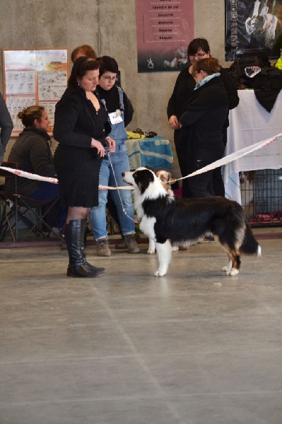 Joke You'll never walk alone - 3ème excellent classe jeune mâles