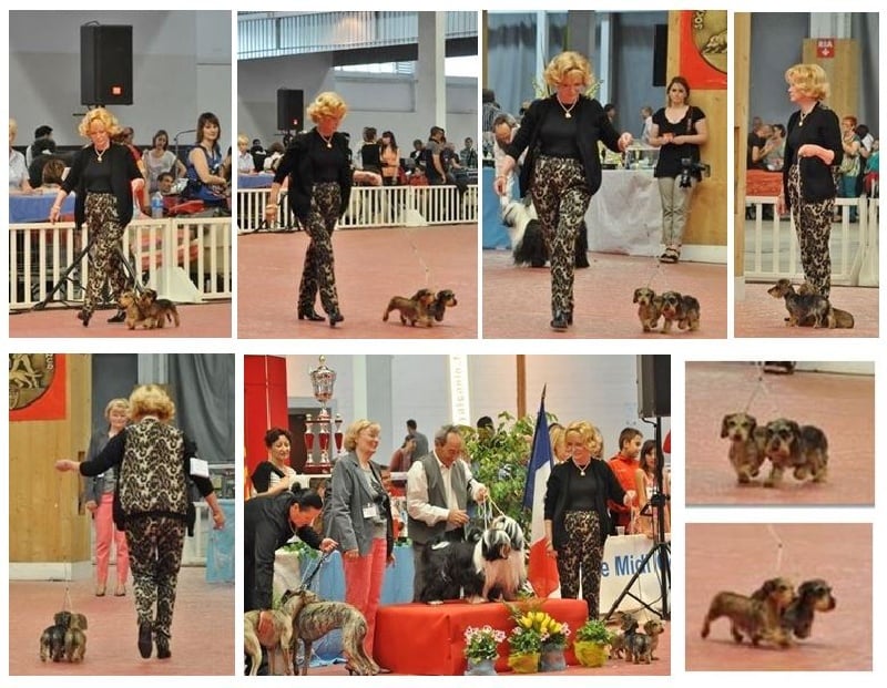 Publication : des pierres de jade