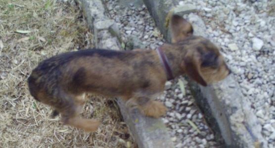 Publication : des pierres de jade