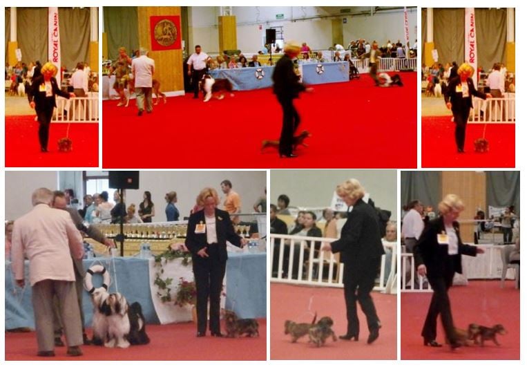 Publication : des pierres de jade