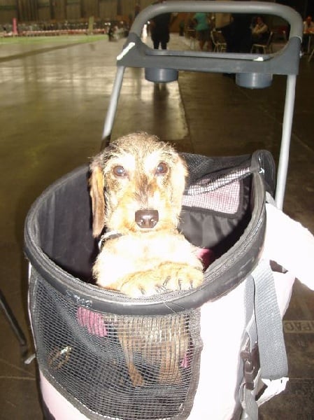 Publication : des pierres de jade