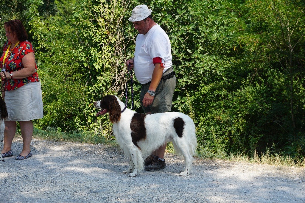 Looping Du Domaine De Lou Meou - CACS MEILLEUR DE RACE