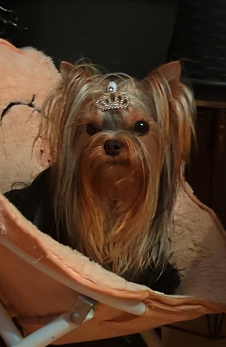 Annabelle de La Vallee Des Roses Rouges