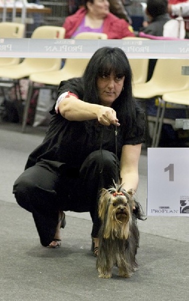 Guest star l'arche d'or - 1 eme Excellent