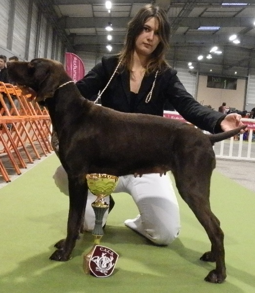 Galina De La Vallée De Brownwhite - 1er excellent CACS