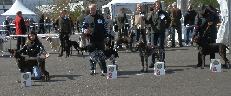 Galina De La Vallée De Brownwhite - 1er excellent