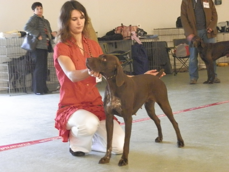 Galina De La Vallée De Brownwhite - 2ème excellent