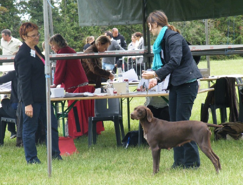 Galina De La Vallée De Brownwhite - 1er excellent meilleur jeune