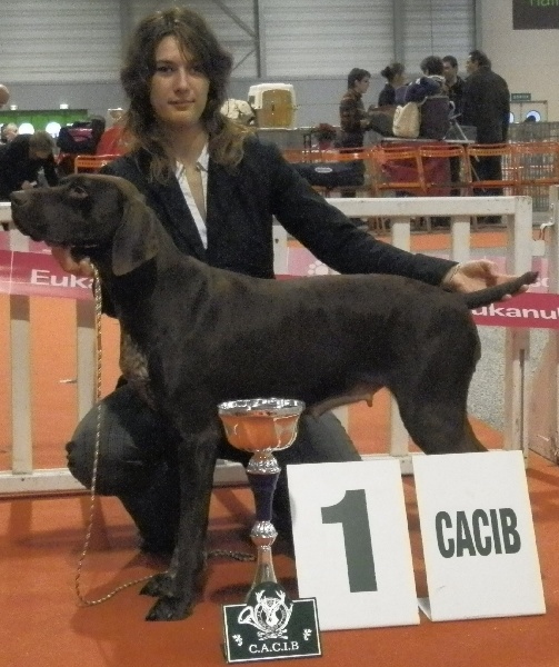 Galina De La Vallée De Brownwhite - 1er excellent CACIB