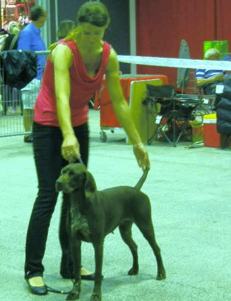 Galina De La Vallée De Brownwhite - 2ème excellent