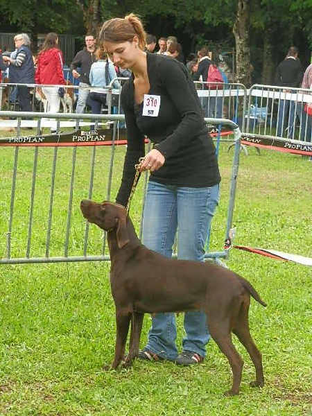 Galina De La Vallée De Brownwhite - 2ème excellent