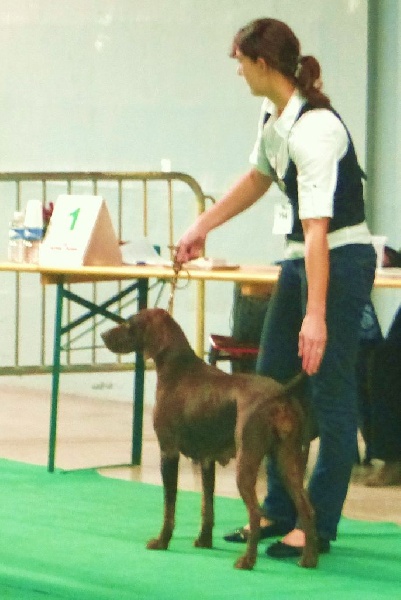 Galina De La Vallée De Brownwhite - 1er excellent