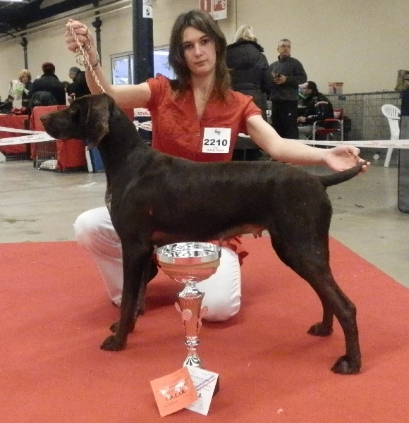 Galina De La Vallée De Brownwhite - 1exc CACIB