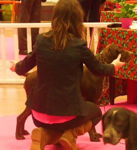 Galina De La Vallée De Brownwhite - 3 ème excellent