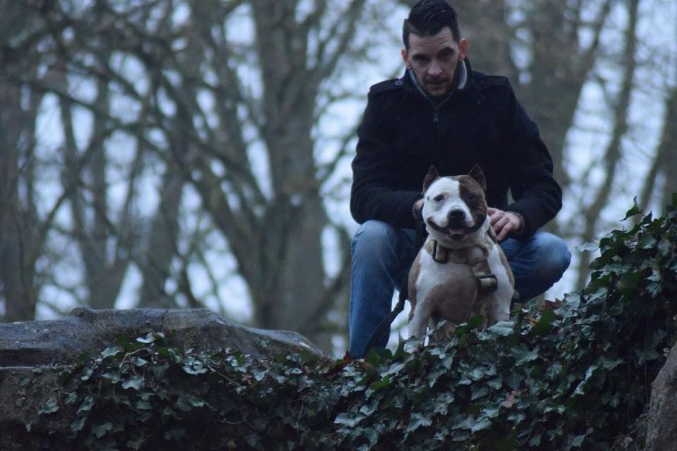 Elishka Of Passion Amstaff 