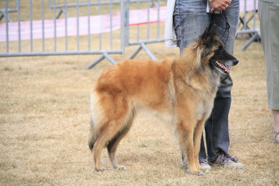 munchanga's Hapril - 13ème Excellent, Sujet recommandé