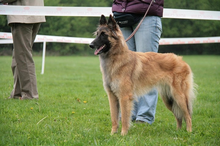 munchanga's Hapril - TBon