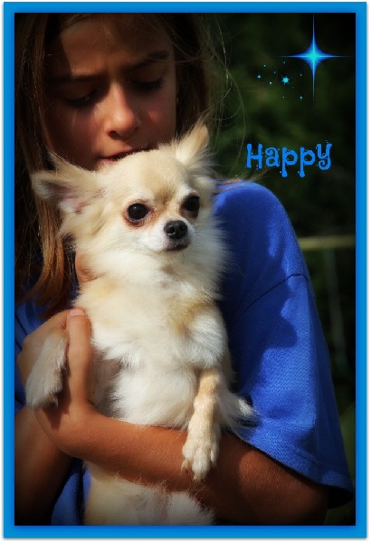 Publication : Des Petits Lutins Auteur : mingaud patricia